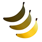 bouton avec trois bananes de la plus claire à la plus foncée