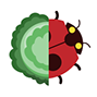 bouton avec une image de coccinelle en haut et un chou en bas