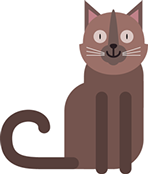 chat rigolot souriant